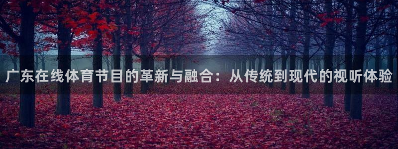 广东在线体育节目的革新与融合：从传统到现代的视听体验