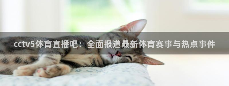 cctv5体育直播吧：全面报道最新体育赛事与热点事件