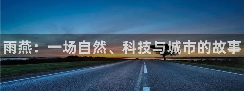 雨燕：一场自然、科技与城市的故事
