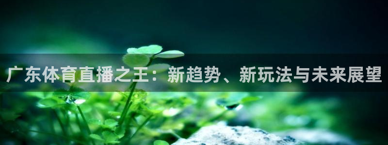 广东体育直播之王：新趋势、新玩法与未来展望