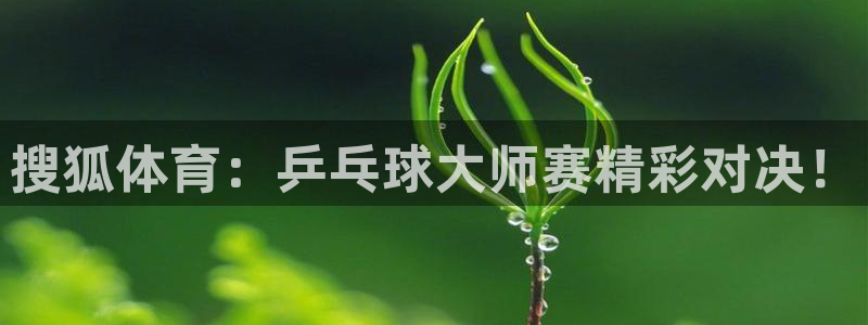 搜狐体育：乒乓球大师赛精彩对决！
