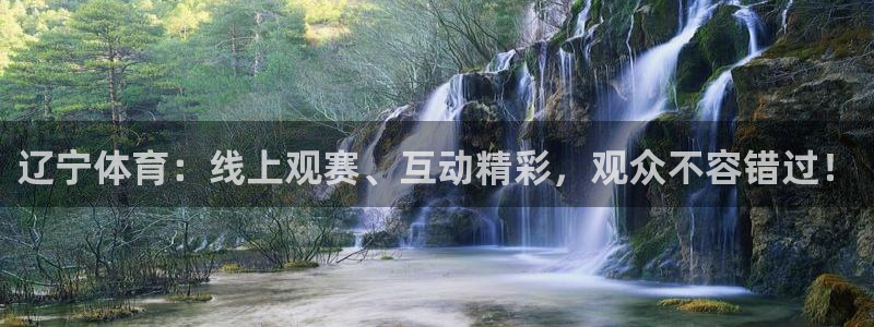 辽宁体育：线上观赛、互动精彩，观众不容错过！