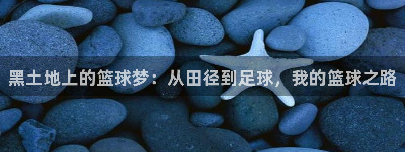 黑土地上的篮球梦：从田径到足球，我的篮球之路