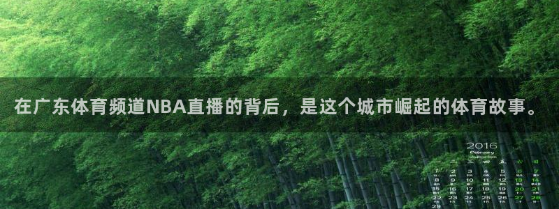 在广东体育频道NBA直播的背后，是这个城市崛起的体育故事。