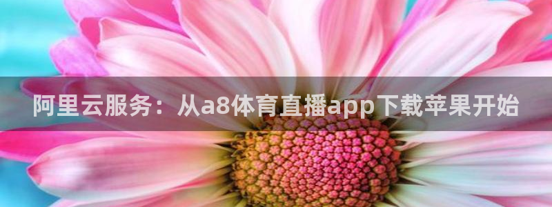 阿里云服务：从a8体育直播app下载苹果开始