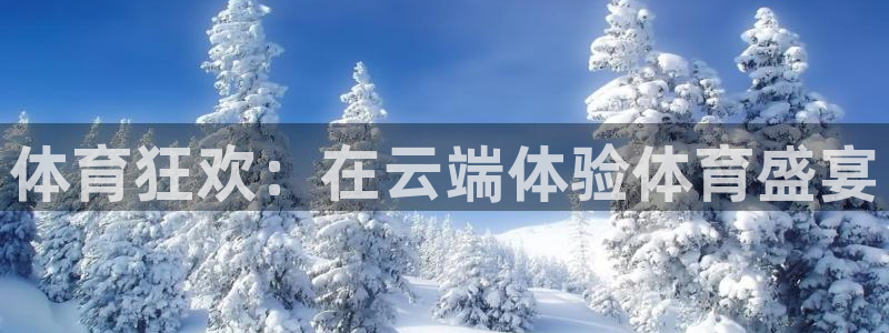 体育狂欢：在云端体验体育盛宴