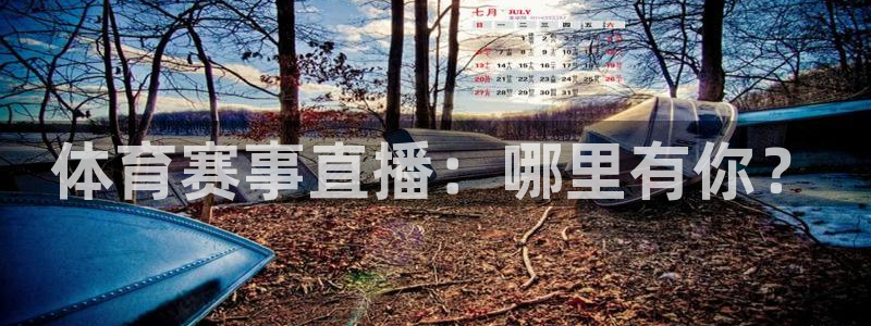 体育赛事直播：哪里有你？