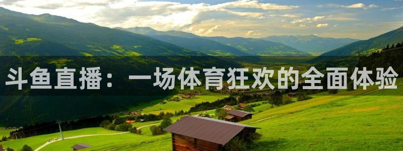 斗鱼直播：一场体育狂欢的全面体验