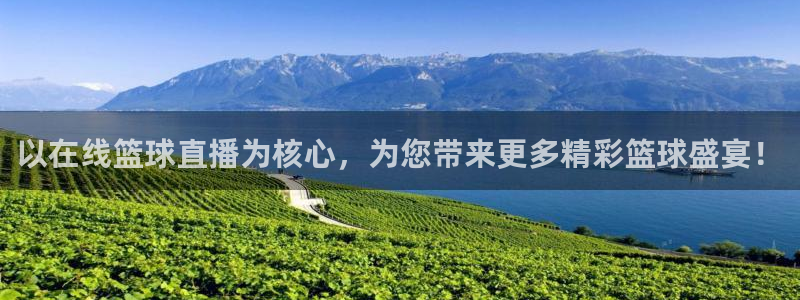 以在线篮球直播为核心，为您带来更多精彩篮球盛宴！