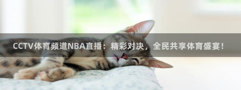 CCTV体育频道NBA直播：精彩对决，全民共享体育盛宴！