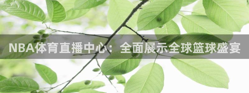 NBA体育直播中心：全面展示全球篮球盛宴