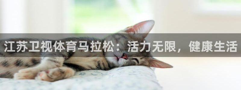 江苏卫视体育马拉松：活力无限，健康生活