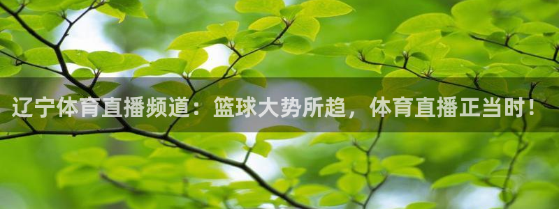 辽宁体育直播频道：篮球大势所趋，体育直播正当时！