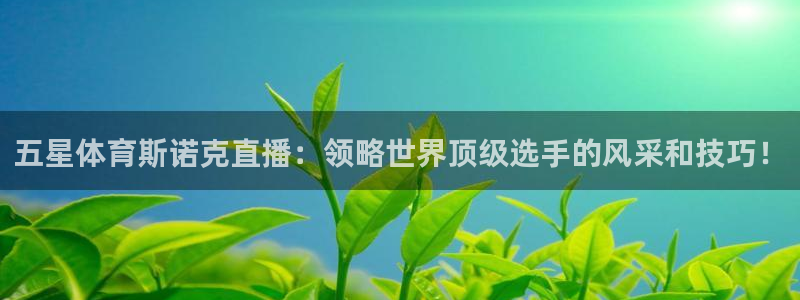五星体育斯诺克直播：领略世界顶级选手的风采和技巧！