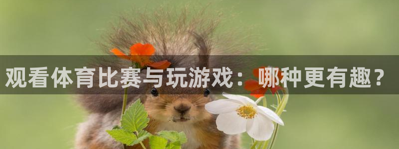 观看体育比赛与玩游戏：哪种更有趣？