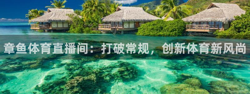章鱼体育直播间：打破常规，创新体育新风尚