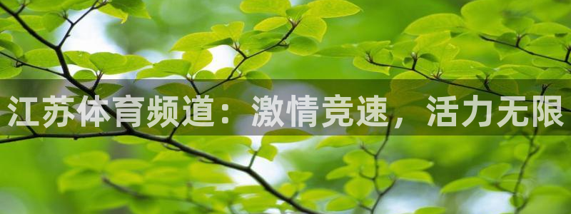 江苏体育频道：激情竞速，活力无限