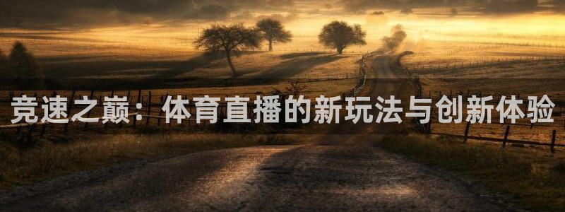竞速之巅：体育直播的新玩法与创新体验