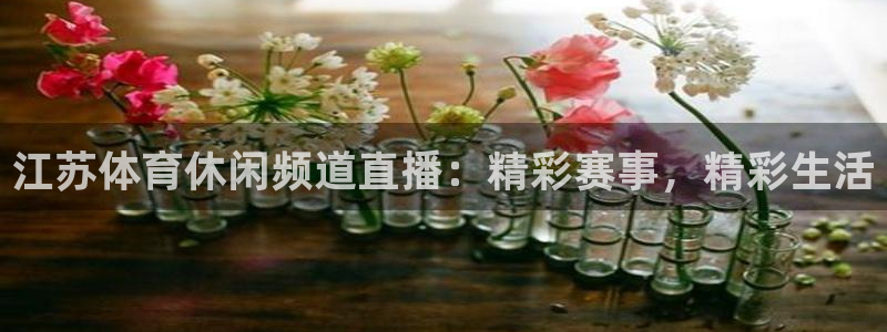 江苏体育休闲频道直播：精彩赛事，精彩生活
