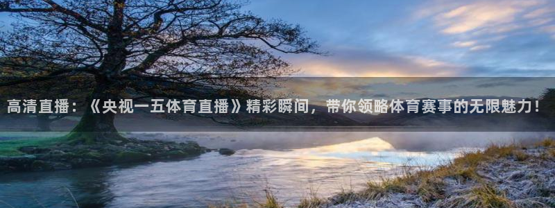高清直播：《央视一五体育直播》精彩瞬间，带你领略体育赛事的无限魅力！