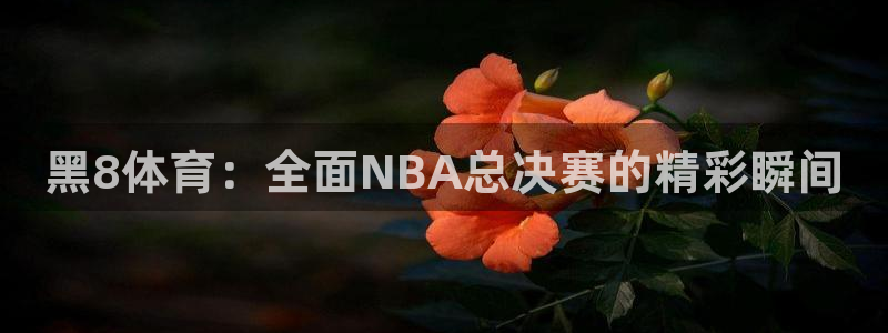 黑8体育：全面NBA总决赛的精彩瞬间