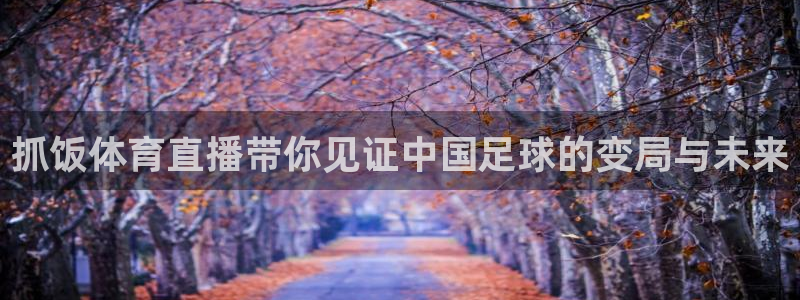 抓饭体育直播带你见证中国足球的变局与未来