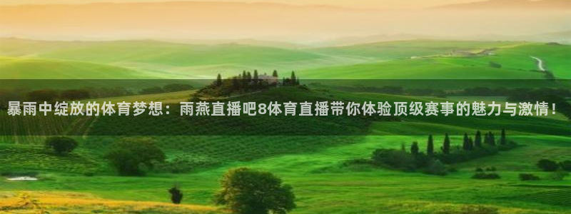 暴雨中绽放的体育梦想：雨燕直播吧8体育直播带你体验顶级赛事的魅力与激情！