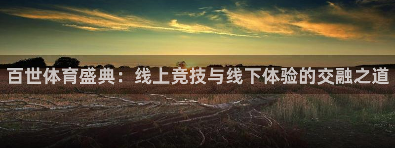 百世体育盛典：线上竞技与线下体验的交融之道
