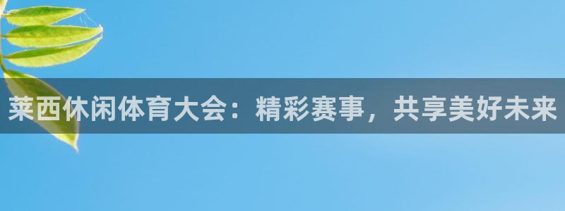 莱西休闲体育大会：精彩赛事，共享美好未来